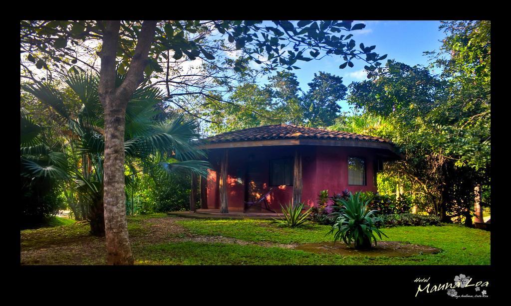 Hotel Mauna Loa Pinilla Стая снимка