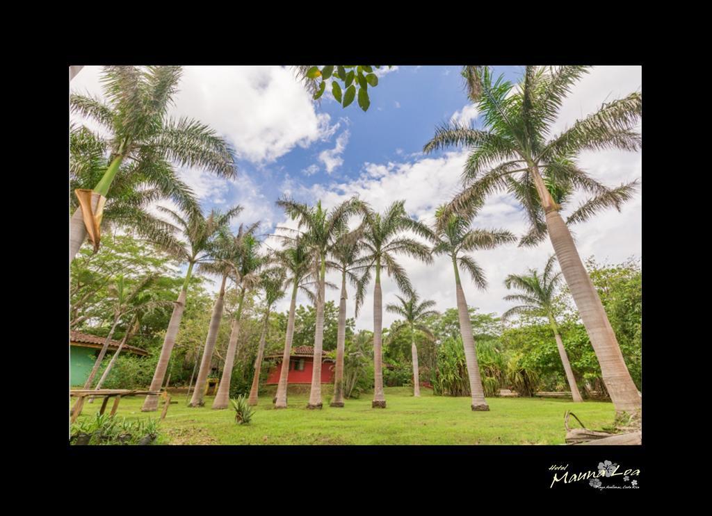 Hotel Mauna Loa Pinilla Екстериор снимка