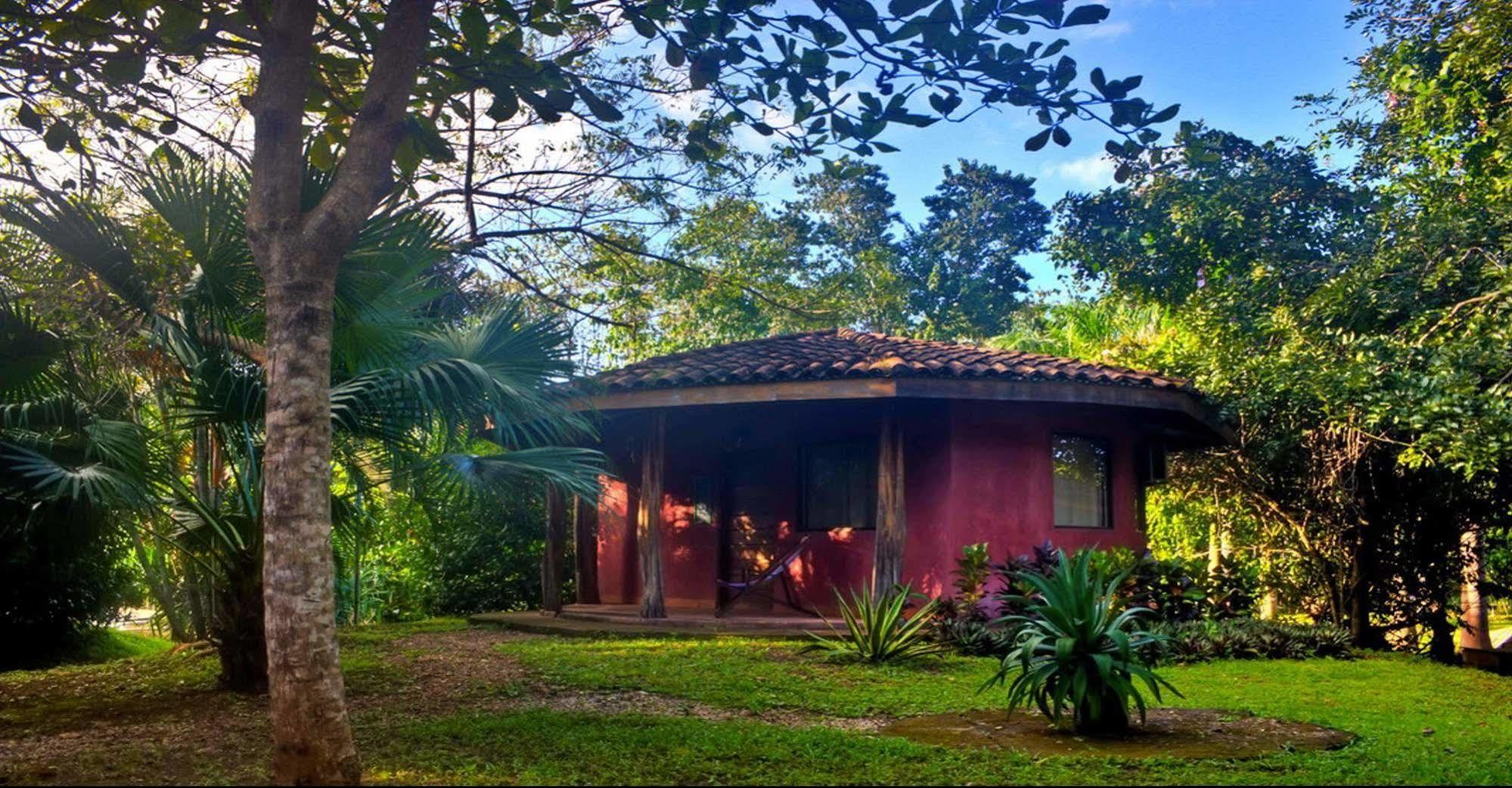 Hotel Mauna Loa Pinilla Екстериор снимка